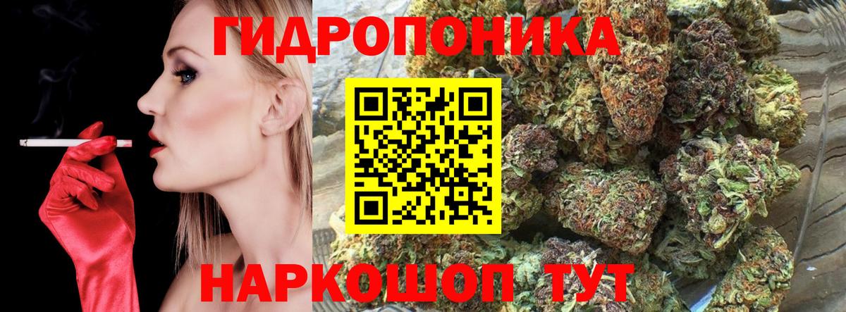 Бошки Шишки Amnesia  Шишки марихуана MAZAR  Конопля план  Заволжье  Вход с VPN 